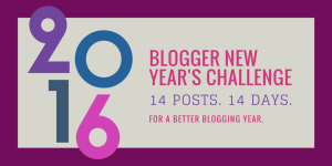 parajunkee blogger new year's challenge